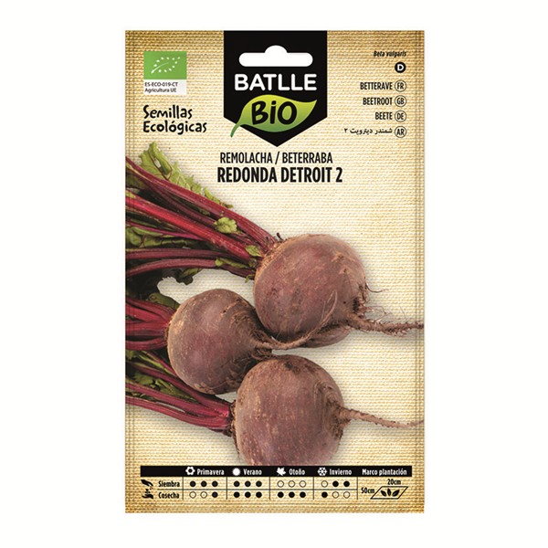 SEMILLAS REMOLACHA DETROIT - ECO 10 BOL