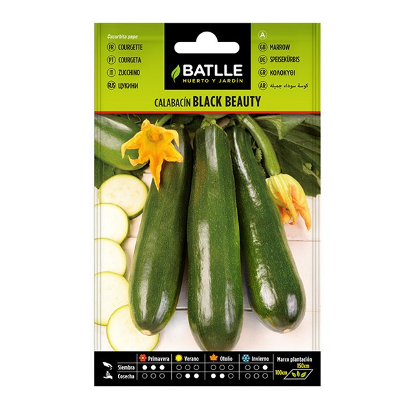 SEMILLAS CALABACIN BLACK BEAUTY 10 BOL